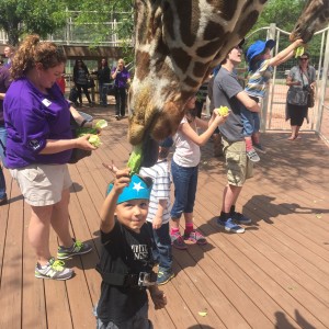 This is a great opportunity for zoo guests of all ages to get close to the giraffes